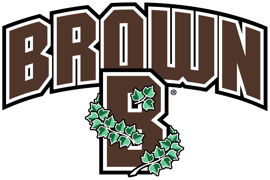 Brown Bears 2018-Pres Secondary Logo DIY iron on transfer (heat transfer)